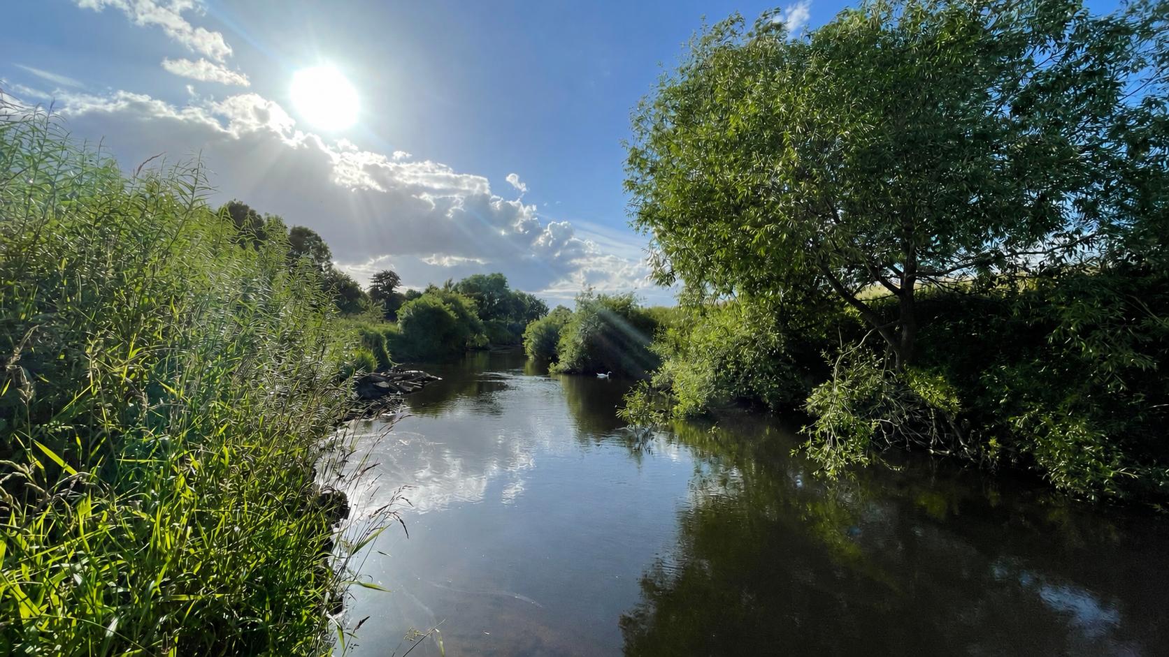 River Wharfe fishing backdrop